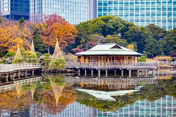 Tsukiji Food Strolling and Hama Rikyu Garden Walking Tour - Who will enjoy this experience most