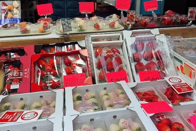 Tsukiji Food Strolling and Hama Rikyu Garden Walking Tour
