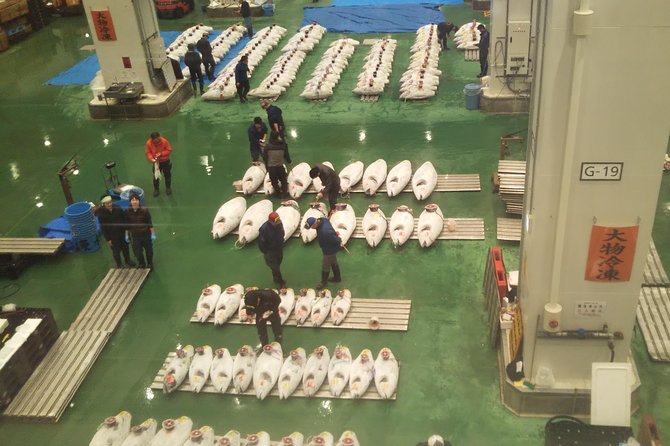 Tuna auction at Toyosu Market with qualified guide and early morning tour of Tsukiji Outer Market - Timing, meeting details, and practical advice