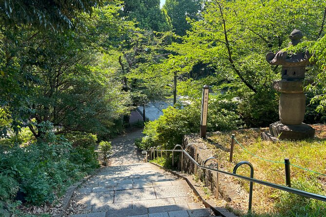 Ueno Park and Ameyoko Street Food Market Half Day Walking Tour - Why Ueno Makes a Good First Tokyo Walk