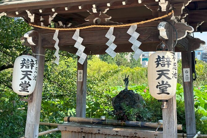 Ueno Park and Ameyoko Street Food Market Half Day Walking Tour - Ameyoko Street Food and Market Life