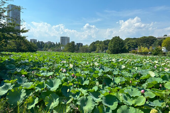 Ueno Park and Ameyoko Street Food Market Half Day Walking Tour - What the $45 Price Really Buys You