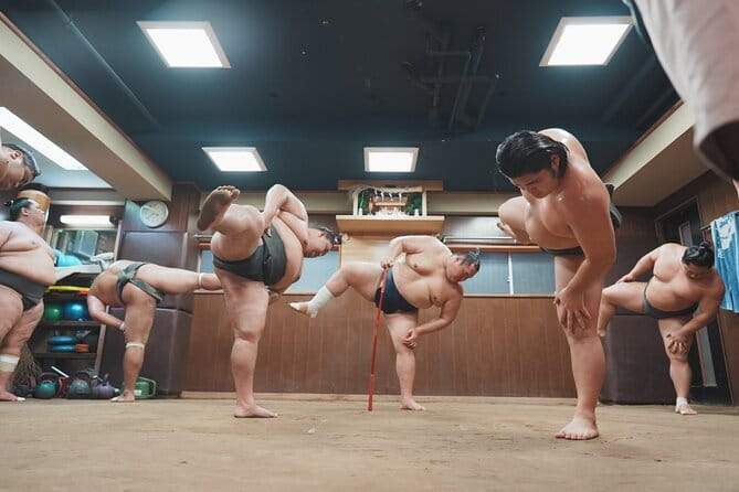 Unique Afternoon Live Sumo training tour in Tokyo - Key points to know before you book