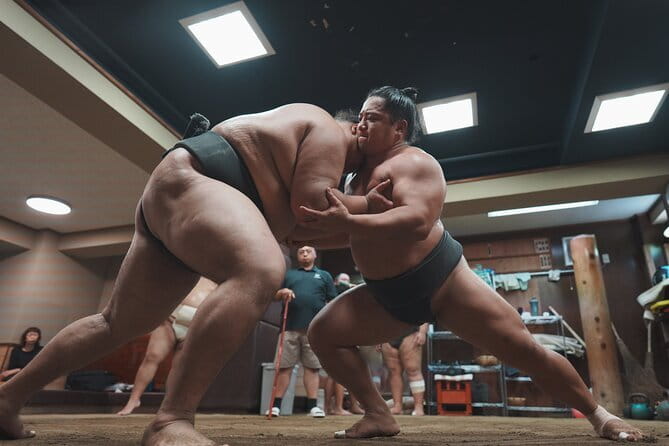 Unique Afternoon Live Sumo training tour in Tokyo - Watching sumo before the match begins