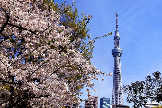 Unlock Hidden Tokyo: Private Custom Tour with a Local guide - Shibuya Crossing: Tokyo’s famous final snapshot