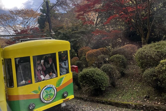 Walking Tour Mount Takao : Nature and Tradition in Tokyo - Meeting Japanese macaques at Monkey Park
