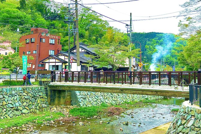Walking Tour Mount Takao : Nature and Tradition in Tokyo - Riding the cable car and walking Mount Takao
