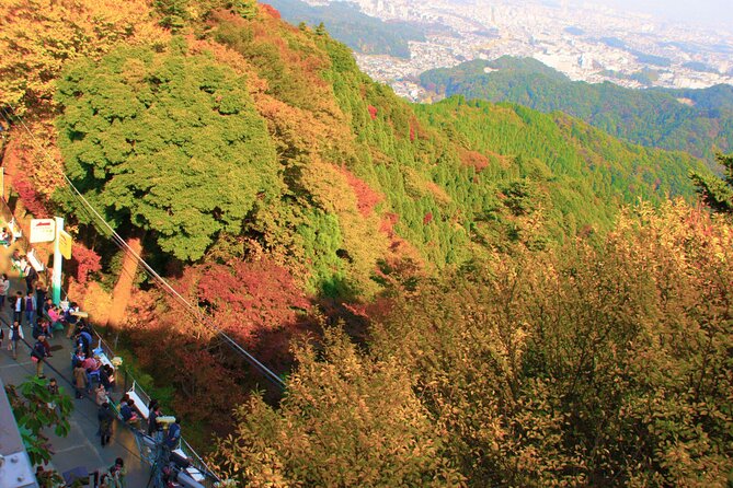 Walking Tour Mount Takao : Nature and Tradition in Tokyo - Dango, timing, and what is actually included