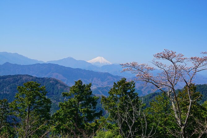 Walking Tour Mount Takao : Nature and Tradition in Tokyo - The guides and the tone of the day