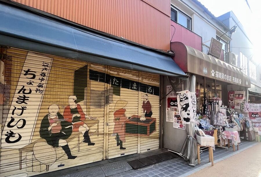 Walking Tour: Yanaka,Nezu& Sendagi: Tea Ceremony & Old Tokyo - Key points to know before booking