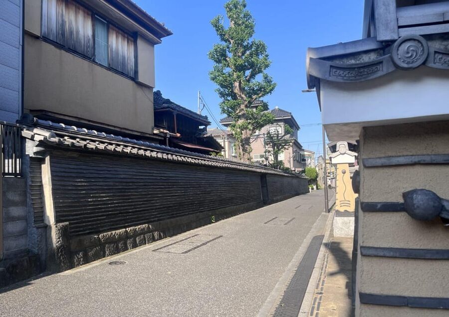 Walking Tour: Yanaka,Nezu& Sendagi: Tea Ceremony & Old Tokyo - Exploring Yanaka with time to look around