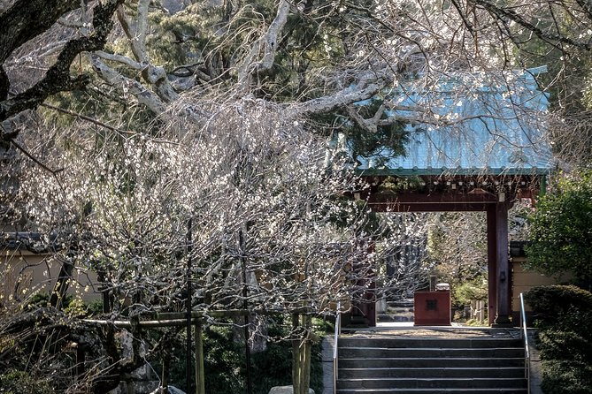 When Emperors Reigned and Shoguns Ruled - Komachidori, where old Kamakura meets modern Japan