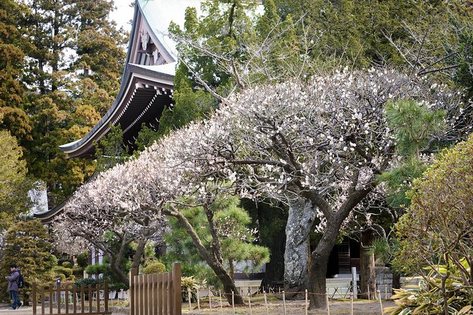When Emperors Reigned and Shoguns Ruled - What Virgil adds to the experience