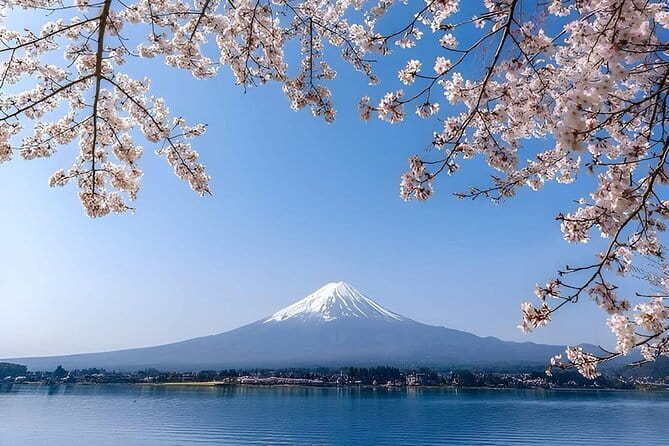 Wonderful Peaks & Peace: Mt. Fuji, Fuji Stupa & Hakone Tour - Key points to know before booking