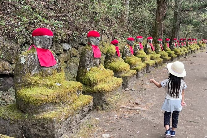 World Heritage Nikko Walking Tour Toshogu and Kanmangafuchi - Starting at Tobu-Nikko Station