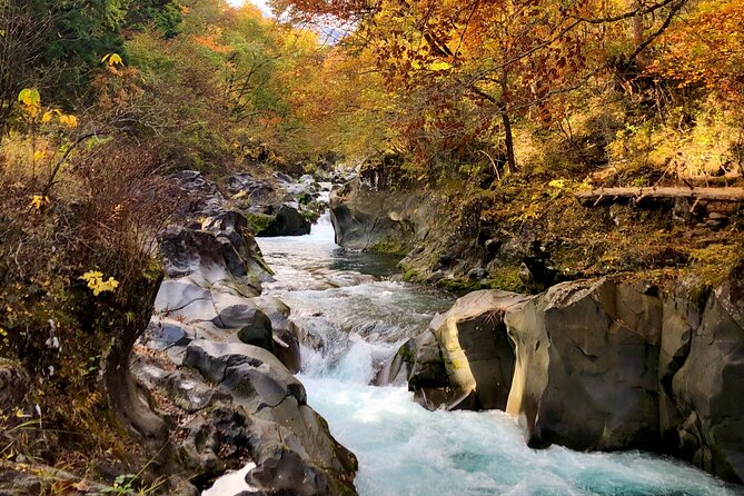 World Heritage Nikko Walking Tour Toshogu and Kanmangafuchi - What the guide adds