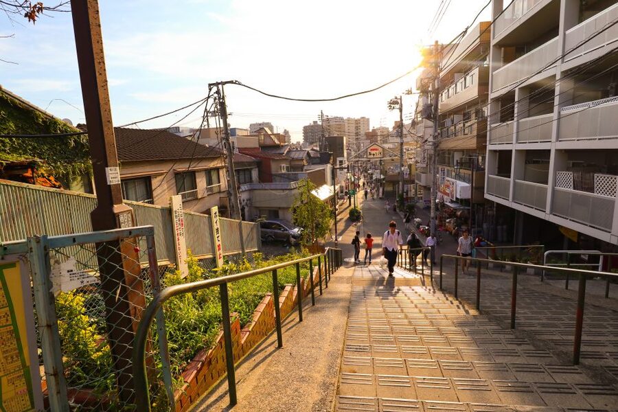 Yanaka District: Historical Walking Tour in Tokyo's Old Town - Key points to know before booking