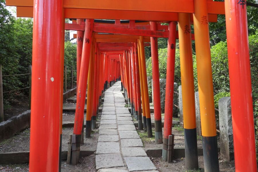 Yanaka District: Historical Walking Tour in Tokyo's Old Town - Why Yanaka is a smart change from Shibuya