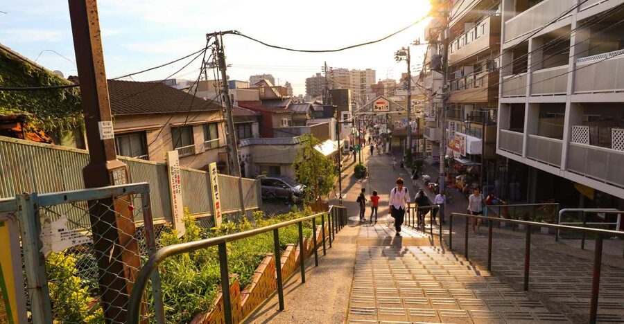 Yanaka District: Historical Walking Tour in Tokyo's Old Town - Following Hebimichi through old neighborhood streets