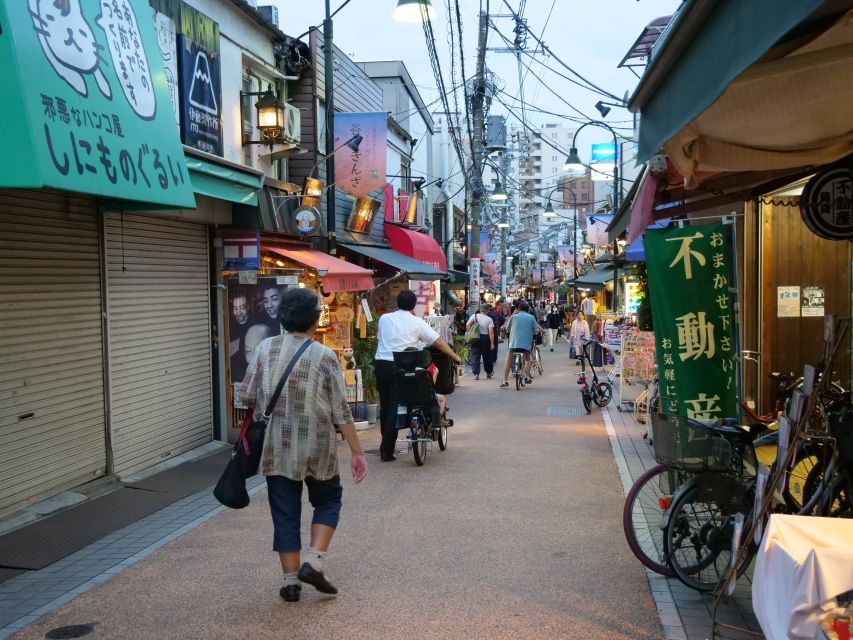 Yanaka District: Historical Walking Tour in Tokyo's Old Town - Who should choose this Yanaka walk