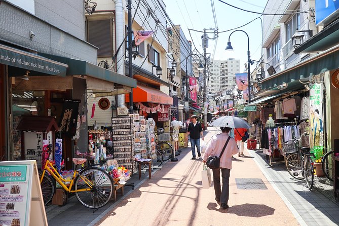 Yanaka Historical Walking Tour in Tokyo's Old Town - Starting at Nezu Shrine and its red torii gates