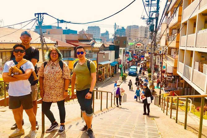Yanaka Historical Walking Tour in Tokyo's Old Town - Who should choose this walk