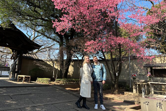 Yanaka Walking Tour: Historic and Traditional District of Tokyo - Nezu Shrine and the area’s older religious traditions