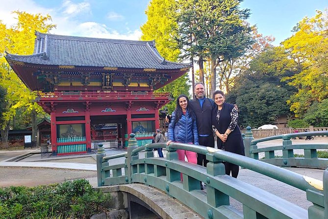 Yanaka Walking Tour: Historic and Traditional District of Tokyo - What the guides add to the walk