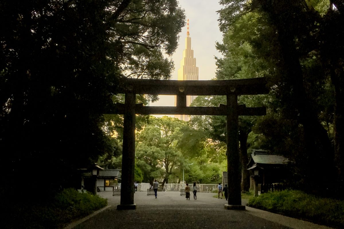 kita-sando-torii-of-meiji-jingu-and-yoyogi